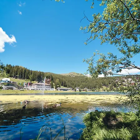 Apartament Penthouse Im Haus Padrun1-weisshornbahn-arosa Zentrum-top Lage *